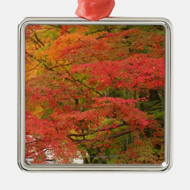 Japanischer Herbstlaub Silbernes Ornament (Vorne)