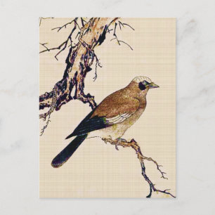 Japanischer Holzschnitt aus Finch, Braun und Beige Postkarte