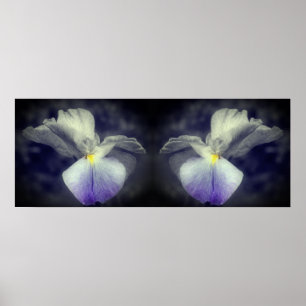 Japanischer Iris Blume Teilfarbspiegel Abstrakt Poster