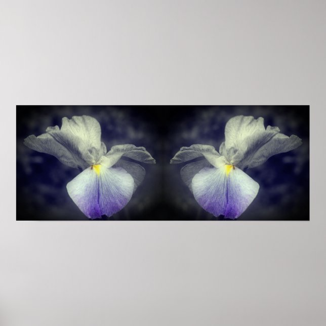 Japanischer Iris Blume Teilfarbspiegel Abstrakt Poster (Vorne)