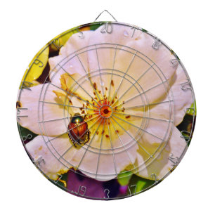 Japanischer Käfer auf White Rose Dartscheibe