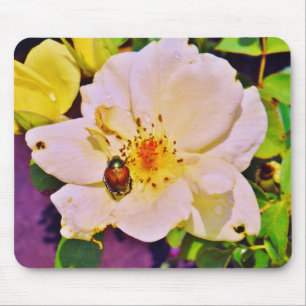Japanischer Käfer auf White Rose Mousepad