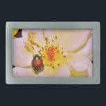 Japanischer Käfer auf White Rose Rechteckige Gürtelschnalle<br><div class="desc">Wunderschönes Foto eines japanischen Käfers auf der weißen Gelben Rose von der Künstlerin Sandra Marie Closs. Fügen Sie Ihren eigenen Text, Namen oder Monogramm hinzu, um das perfekte Produkt für jeden Anlass zu erstellen. Hochzeit, Brautparty Garten Party, Beileid , Geburtstag, Babydusche, jede Feier oder einfach nur um Ihren Tag ein...</div>