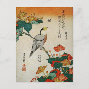 Japanischer Kernbeißer und Wunderblume (Hokusai) Postkarte