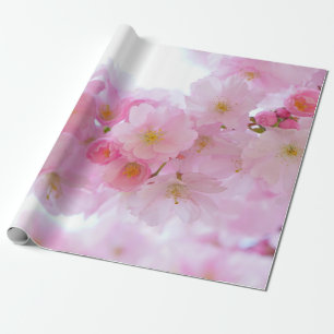 Japanischer Kirschbaum Blossom Geschenkpapier