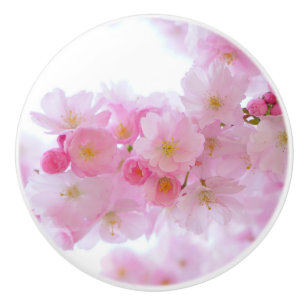 Japanischer Kirschbaum Blossom Keramikknauf