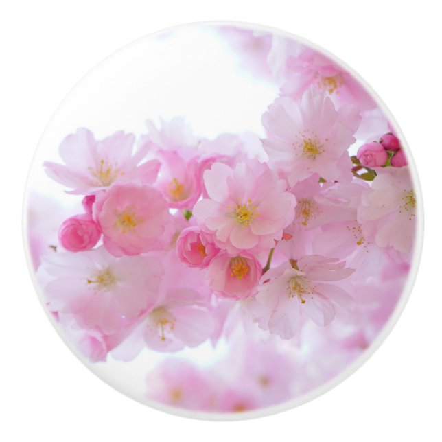 Japanischer Kirschbaum Blossom Keramikknauf (Vorderseite)