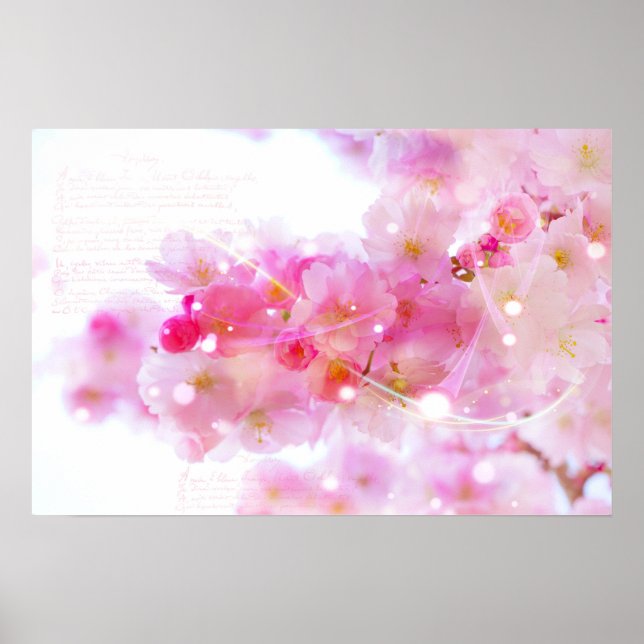 Japanischer Kirschbaum mit pastellrosa Blüten Poster (Vorne)