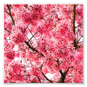 Japanischer Kirschblossom-Baum (2013) Fotodruck