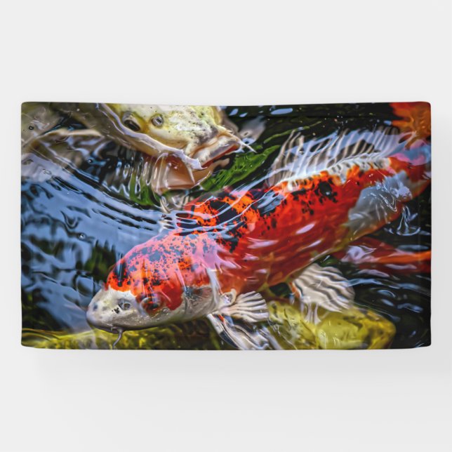 Japanischer Koi Fish Pond Banner (Horizontal)