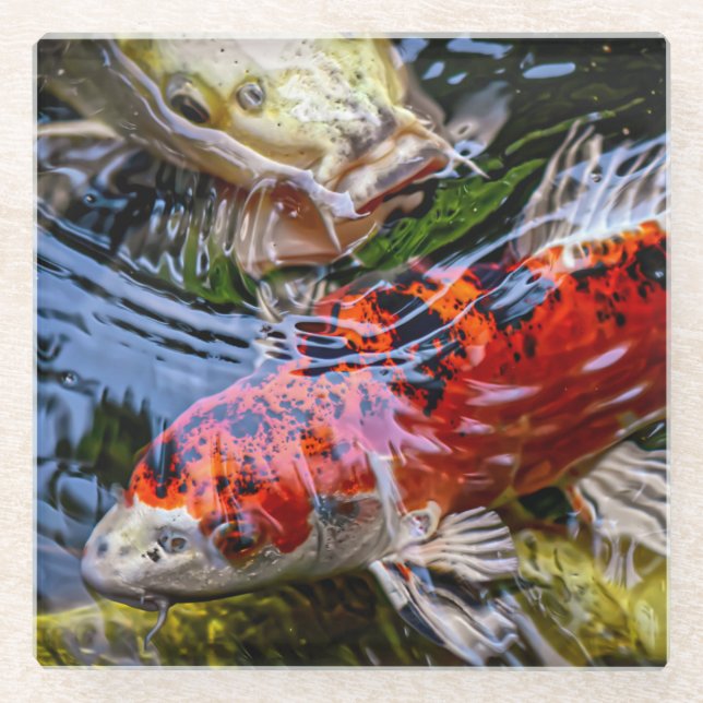 Japanischer Koi Fish Pond Glasuntersetzer (Vorderseite)