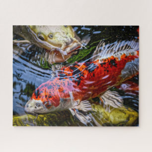 Japanischer Koi Fish Pond Puzzle