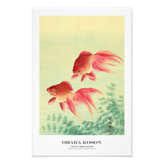 Japanischer Kunstdruck – Ohara Koson – Goldfisch Fotodruck