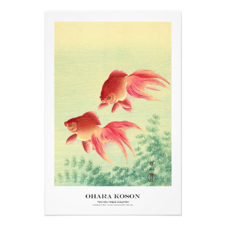 Japanischer Kunstdruck – Ohara Koson – Goldfisch Fotodruck