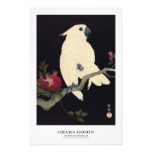 Japanischer Kunstdruck – Ohara Koson – Kakadu
