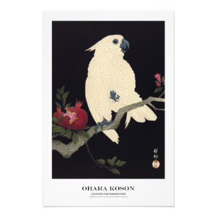Japanischer Kunstdruck – Ohara Koson – Kakadu Fotodruck