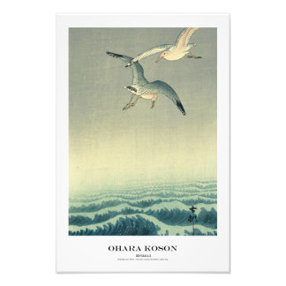 Japanischer Kunstdruck – Ohara Koson – Möwe Fotodruck
