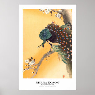 Japanischer Kunstdruck – Ohara Koson – Pfau Poster