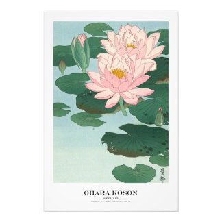 Japanischer Kunstdruck – Ohara Koson – Seerosen Fotodruck