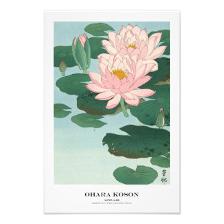 Japanischer Kunstdruck – Ohara Koson – Seerosen Fotodruck