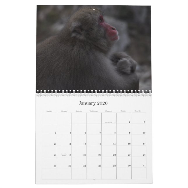 Japanischer Macaques-Kalender Kalender (Jan 2026)