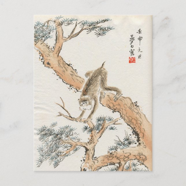 Japanischer Makak Postkarte (Vorderseite)