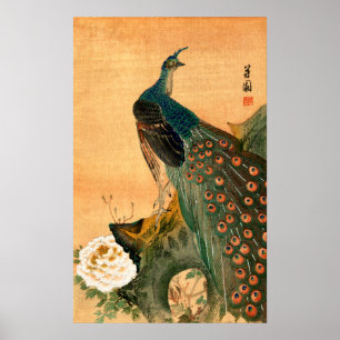 Japanischer Pfau no.2 Poster