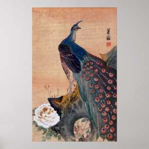 Japanischer Pfau Nr. 1 Poster