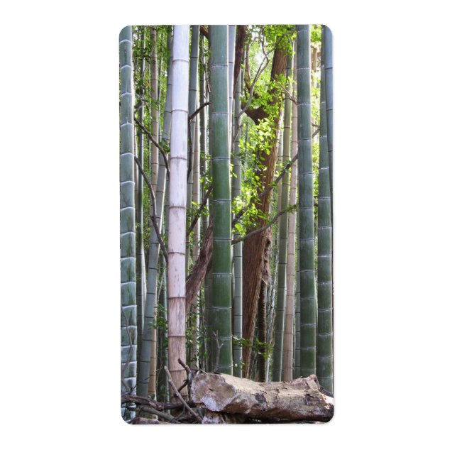 Japanischer Riesenwald, Sagano, Kyoto, Japan (Vorne)