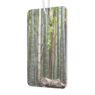 Japanischer Riesenwald, Sagano, Kyoto, Japan Autolufterfrischer