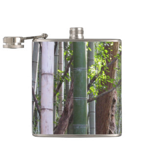 Japanischer Riesenwald, Sagano, Kyoto, Japan Flachmann