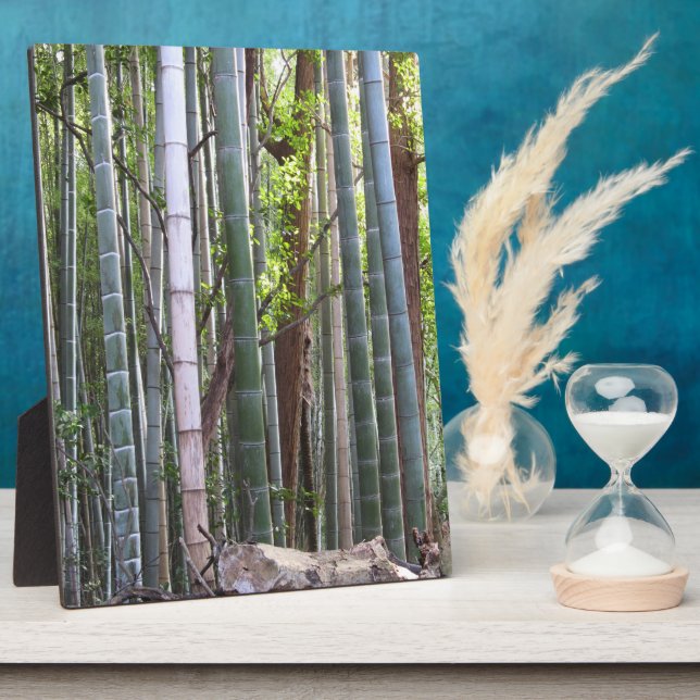 Japanischer Riesenwald, Sagano, Kyoto, Japan Fotoplatte (Seite)