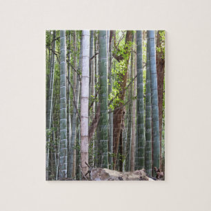Japanischer Riesenwald, Sagano, Kyoto, Japan Puzzle