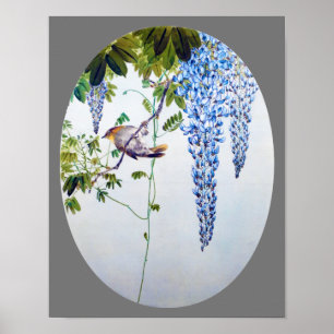 Japanischer Robin in Wisteria, Watanabe Seitei Poster