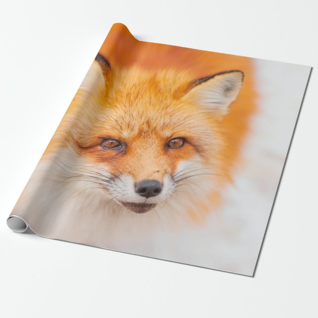 Japanischer Roter Fuchs, der ruht, schläft und spi Geschenkpapier (Ungerollt)