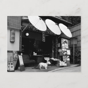 Japanischer Schirmladen Postkarte