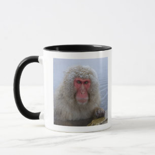 Japanischer Schnee-Affe in der Thermalquelle Tasse