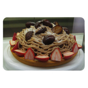 Japanischer Spaghetti-u. Erdbeerkuchen Magnet
