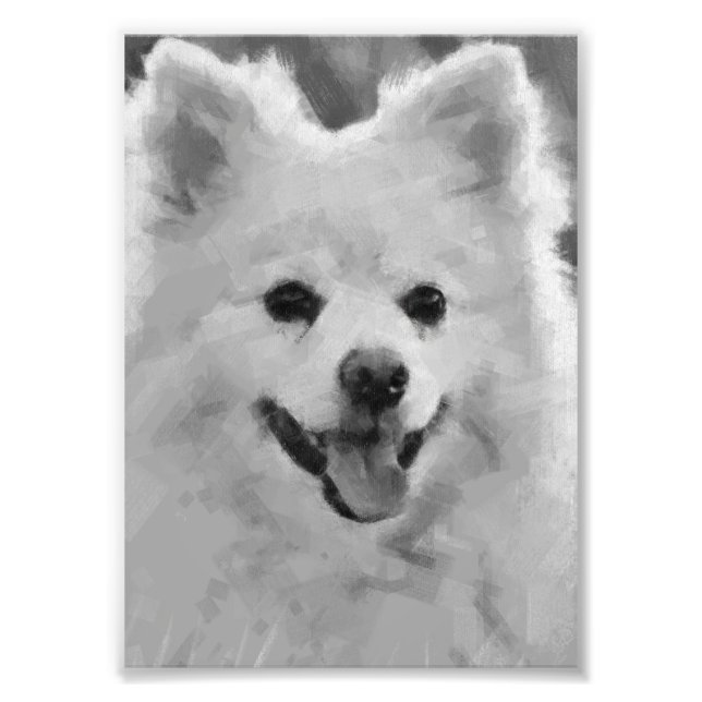 Japanischer Spitz Fotodruck (Vorne)
