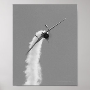 Japanischer Sturzbomber MarineAichi D3A Poster