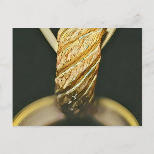 Japanischer Sushi-Liebhaber Postkarte (Vorderseite)