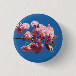 Japanisches blühendes Cherry2 Button