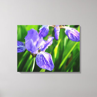 Japanisches Dach Iris Wrapped Canvas Leinwanddruck