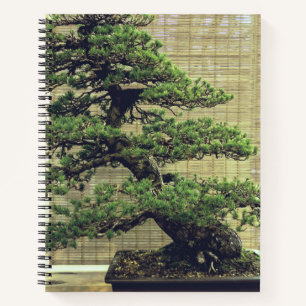 Japanisches Foto White Pine Bonsai Tree Notizbuch