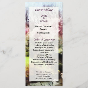 Japanisches Frühjahrsprogramm Programm