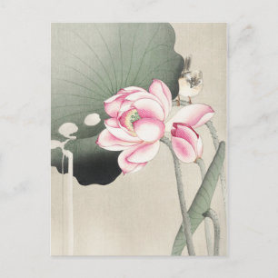 Japanisches Gemälde von Ohara Koson,Vintag小 原 古 邨  Postkarte