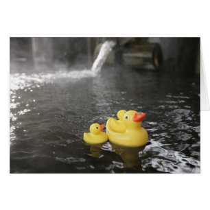 Japanisches GummiDuckies