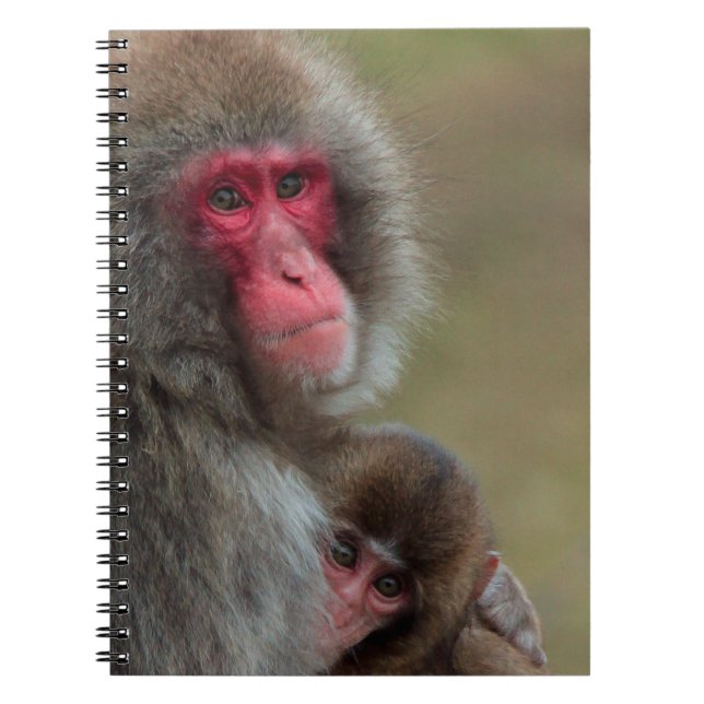 Japanisches Makaque-Affen-Notebook Notizblock (Vorderseite)