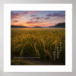 Japanisches Reisfeld im Sonnenaufgang – Nature Wis Poster