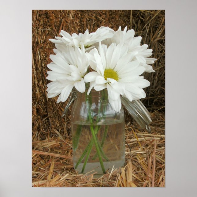 Jar of Daisies & Hay Poster (Vorne)